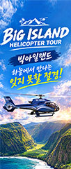 헬기투어