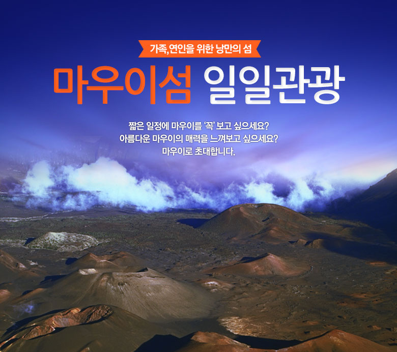 마우이섬 단독가이드 1일관광