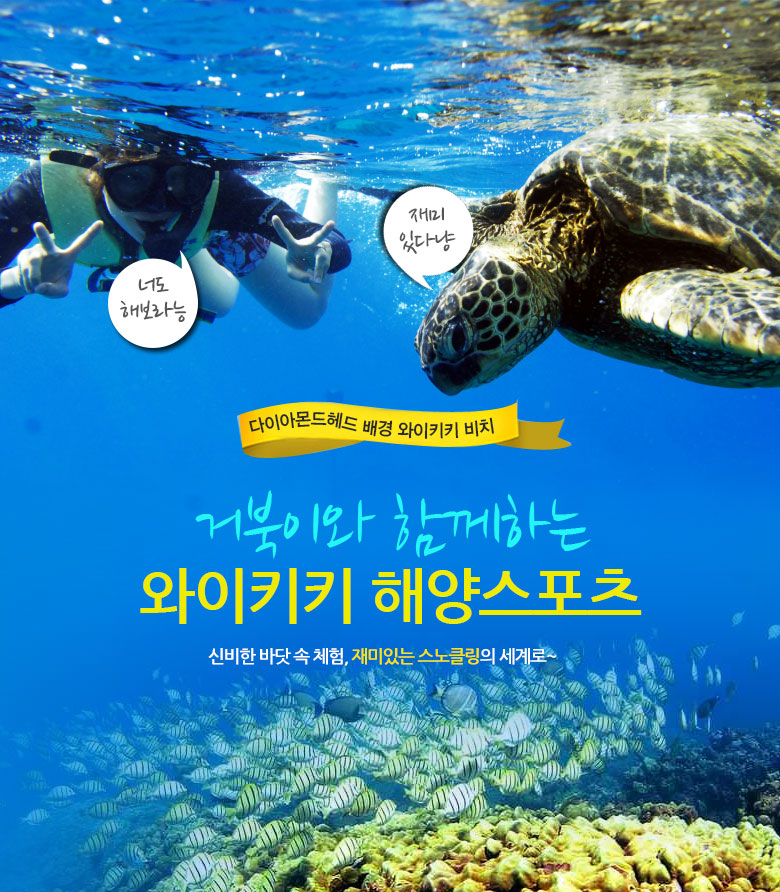 거북이 스노클링 (해양스포츠 5종 포함)