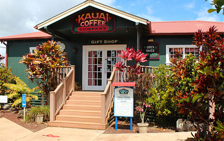 카우아이 커피 농장